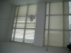 Icon (D2), Apartment #517035301
